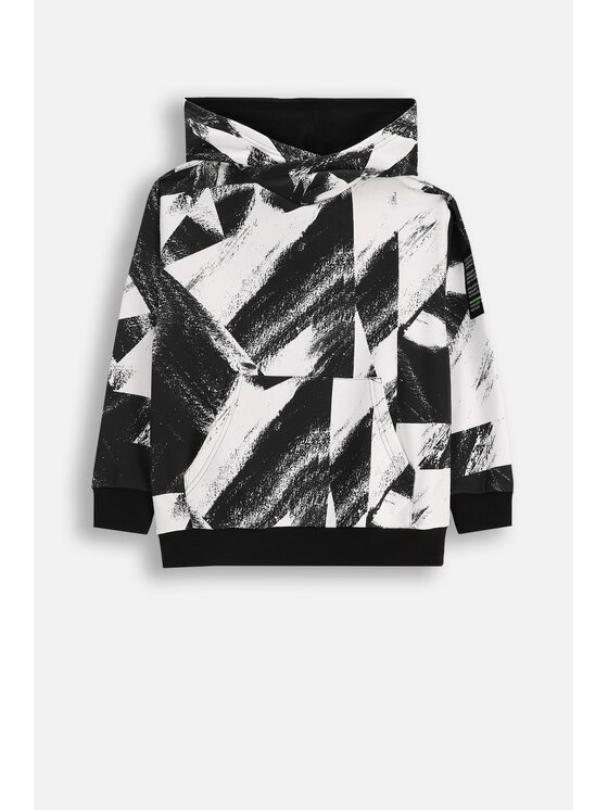 Coccodrillo Coccodrillo Mikina ZC5132301XBJ-022 Farebná Regular Fit