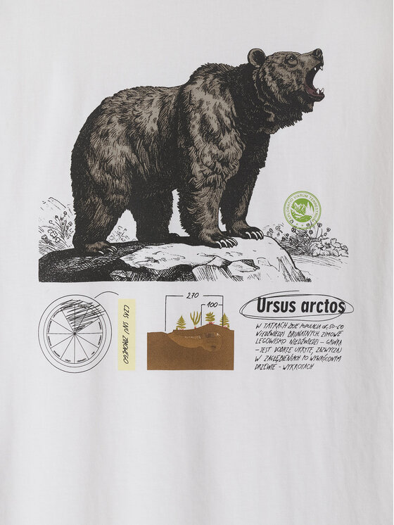 4F 4F T-Shirt OVERLAND Λευκό Regular Fit