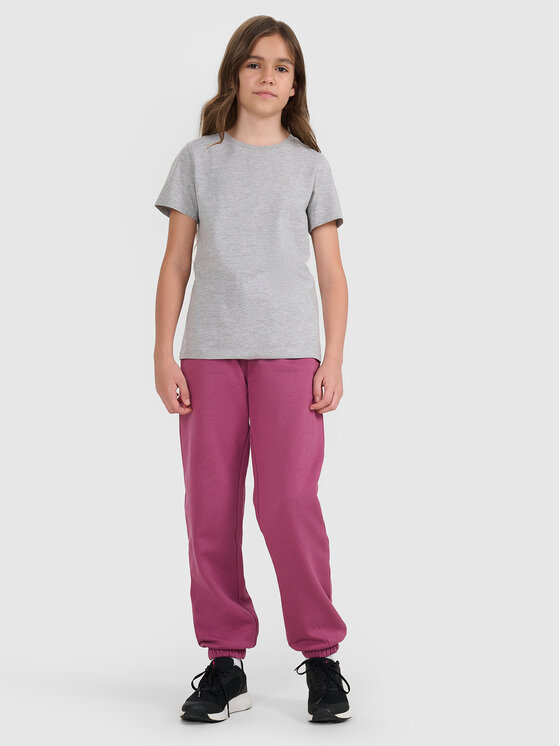 4F 4F T-Shirt BASIC+ Szary Regular Fit