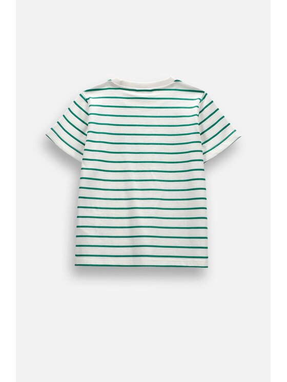 Coccodrillo Coccodrillo T-Shirt ZC6143207ABK-011 Zielony Regular Fit