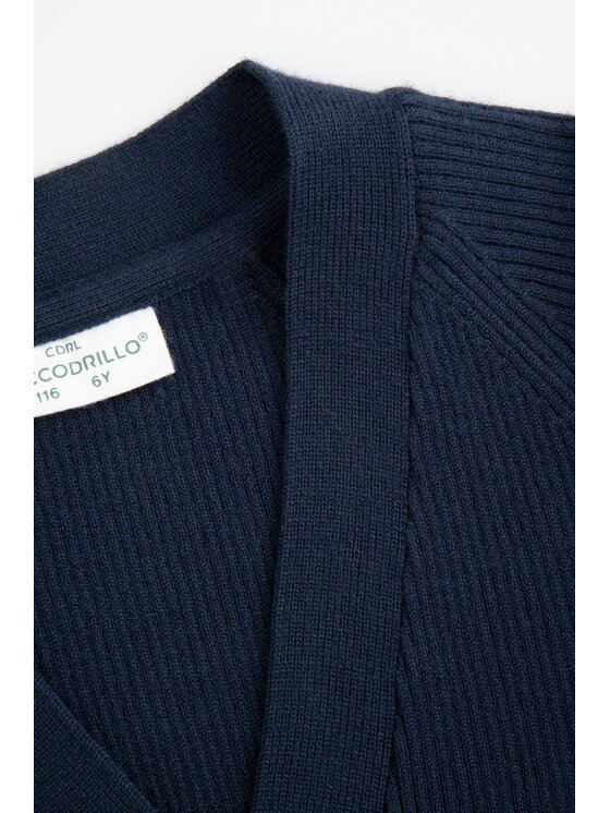 Coccodrillo Coccodrillo Sweter WC5172201BSG-015 Granatowy Regular Fit