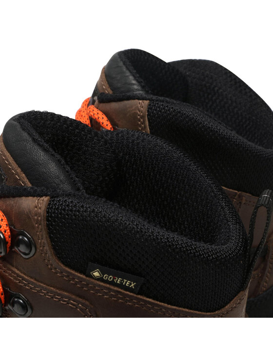 Crispi Crispi Черевики туристичні Valdres S.E. Gtx GORE-TEX CF92704300 Коричневий