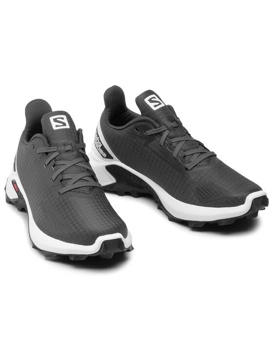 Salomon Salomon Pantofi pentru alergare Alphacross Blast W 411038 21 V0 Gri
