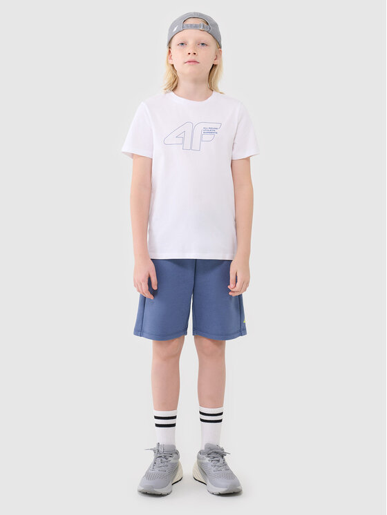 4F 4F Szorty sportowe BASIC+ Niebieski Regular Fit