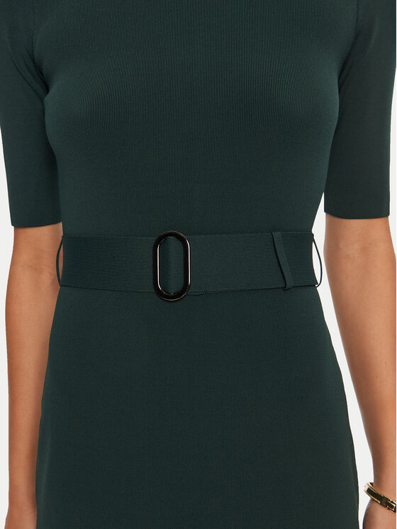Ted Baker Ted Baker Džemper haljina Samalee 271307 Zelena Regular Fit