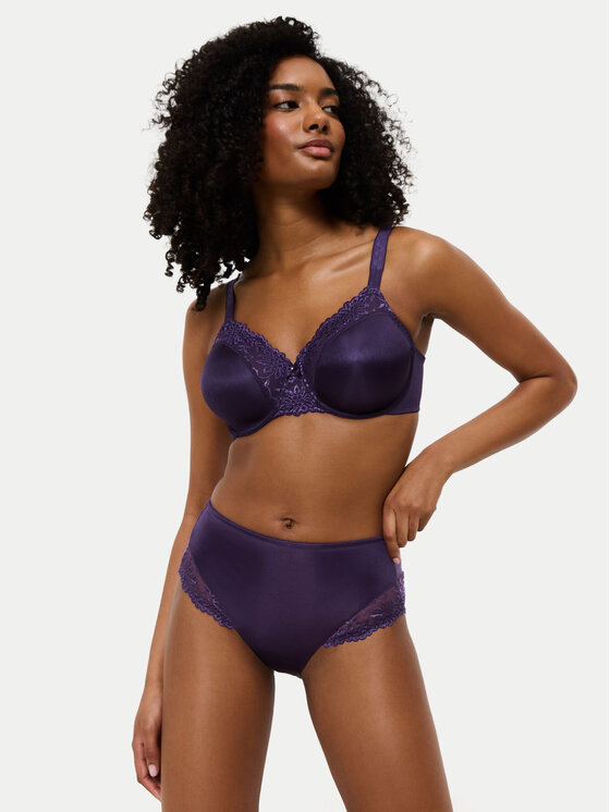 Triumph Triumph Klasične spodnje hlačke z visokim pasom Ladyform Soft Maxi 10210671 Vijolična