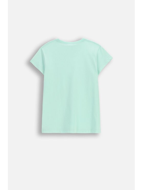 Coccodrillo Coccodrillo T-Shirt WC6143223VGA-031 Zielony Regular Fit