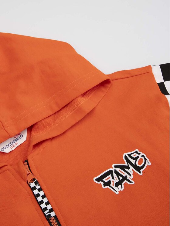 Coccodrillo Coccodrillo Sweatshirt ZC3132402ASK Orange Regular Fit