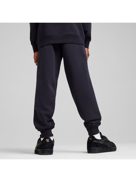 Puma Puma Spodnie dresowe 685800 Niebieski Regular Fit