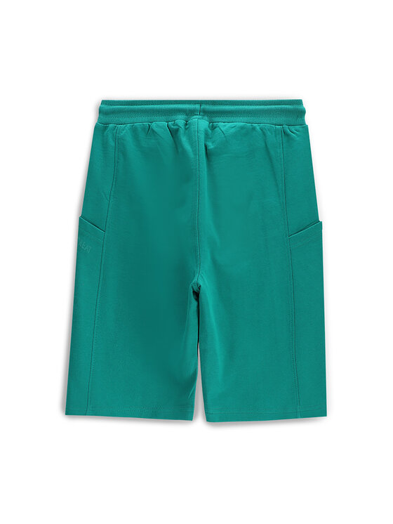 Coccodrillo Coccodrillo Sportovní kraťasy WC5120502TBJ Zelená Regular Fit