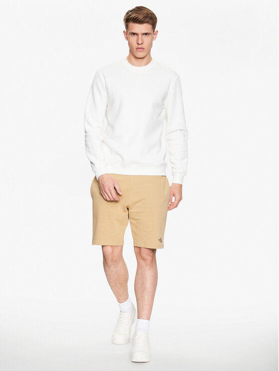 The North Face The North Face Pantaloncini sportivi Standard NF0A3S4E Marrone Regular Fit