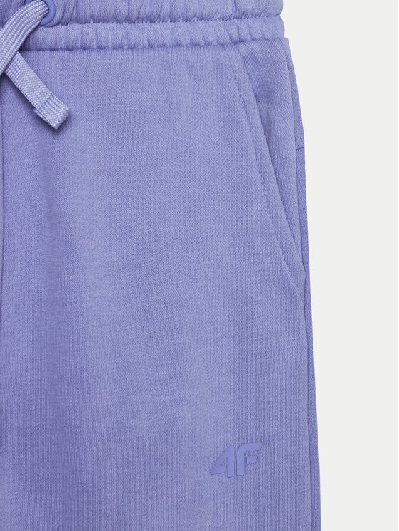 4F 4F Спортивні штани 4FJWMM00TTROF0828 Голубий Regular Fit