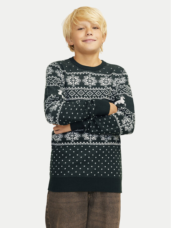 Jack&Jones Junior Džemperis Xmas Gabriel 12267436 Zaļš Regular Fit