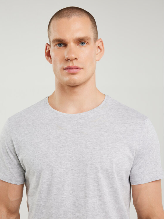 BIG STAR BIG STAR T-Shirt BASIC Szary Basic Fit