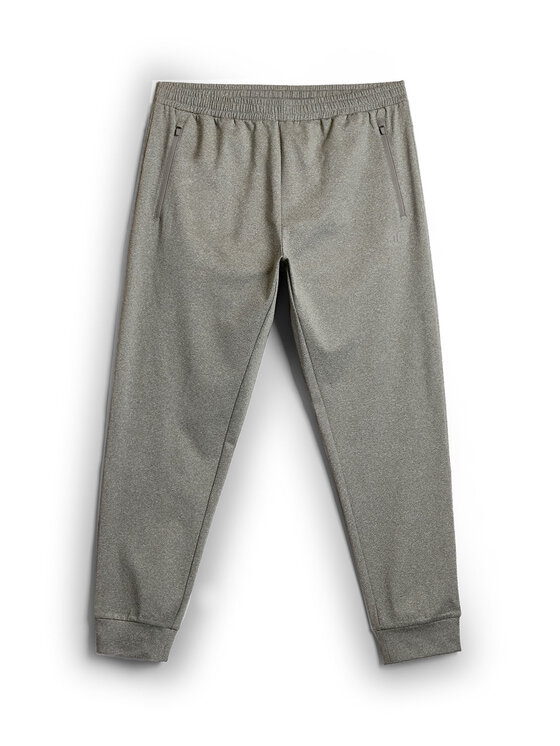 4F 4F Spodnie dresowe BASIC+ Szary Regular Fit