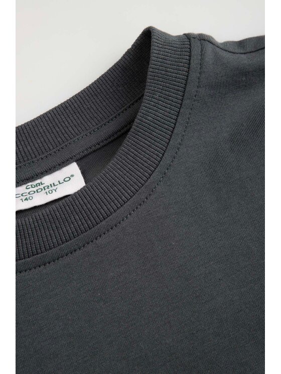Coccodrillo Coccodrillo Tričko WC6143202RBJ-020 Sivá Regular Fit