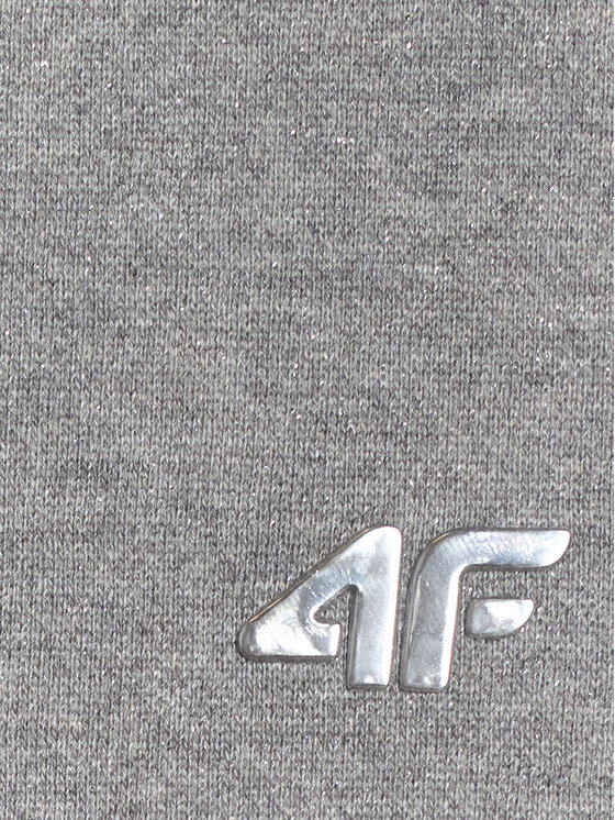 4F 4F Bluza SHINE ACADEMY Szary Loose Fit