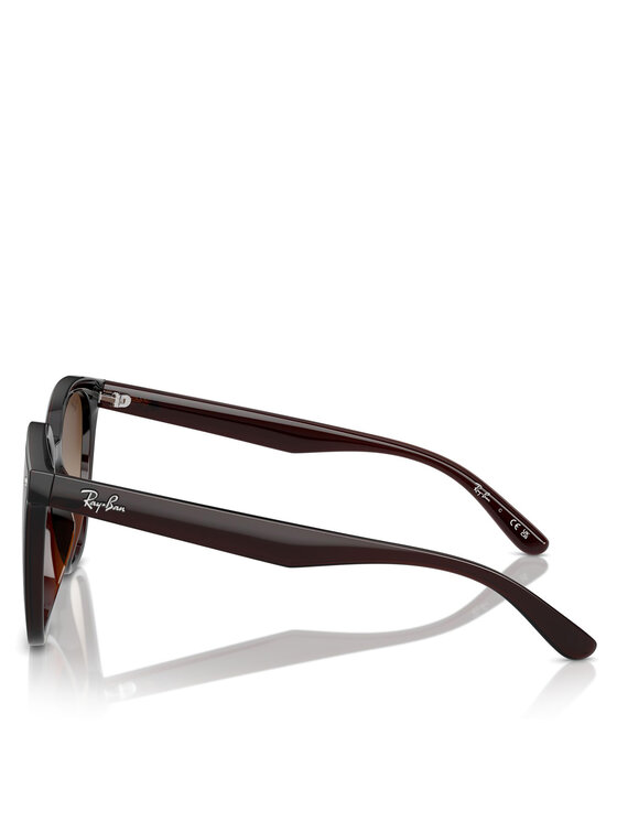 Ray-Ban Ray-Ban Sončna očala 0RB4423D 714/13 Rjava