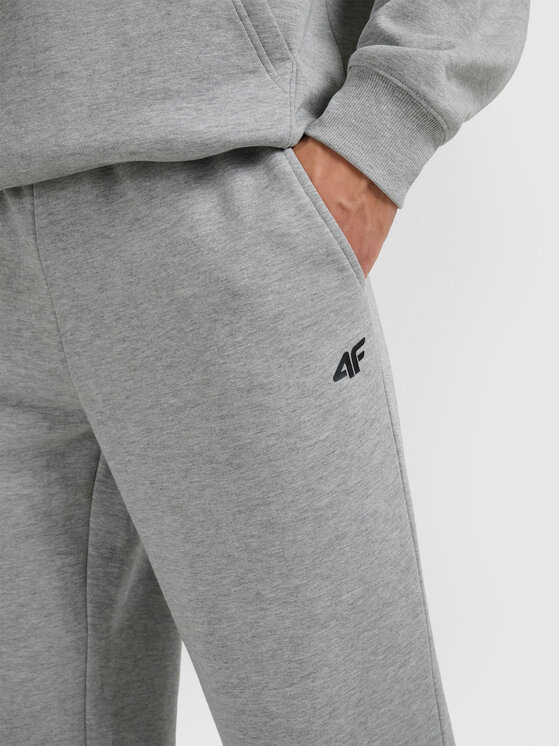 4F 4F Spodnie dresowe NOS Szary jasny Regular Fit