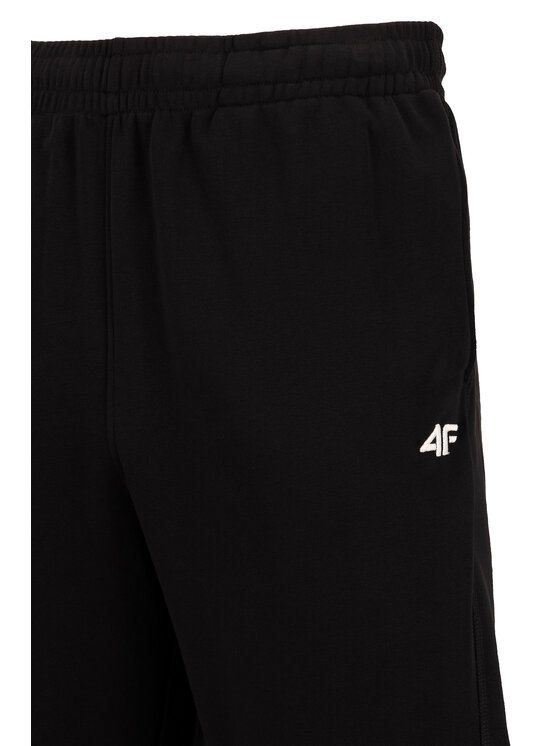 4F 4F Spodnie dresowe TEAMWEAR Czarny Regular Fit