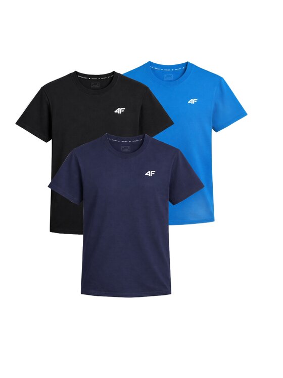 4F 4F T-Shirt Z-TTSHM3341-3 Kolorowy Regular Fit