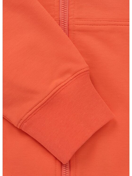 PITBULL PITBULL Bluza SMALL LOGO NUGGET Pomarańczowy Regular Fit