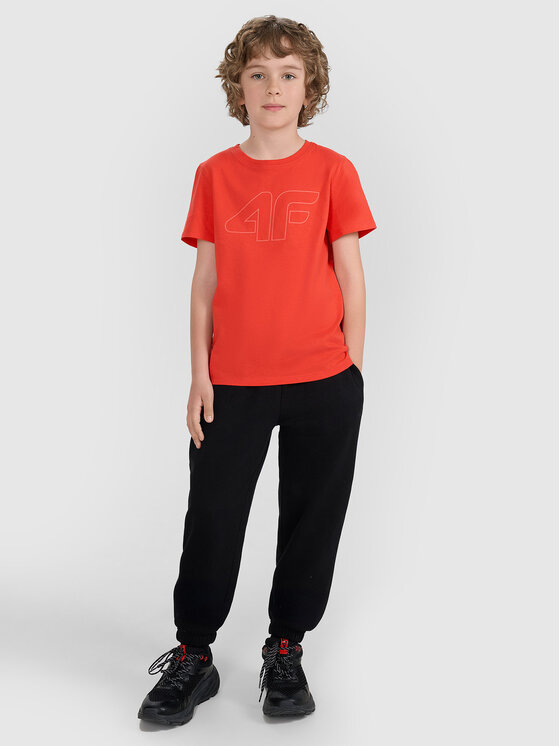 4F 4F T-Shirt BASIC+ Czerwony Regular Fit