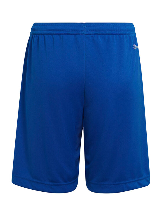 adidas adidas Szorty sportowe Entrada 22 HG6291 Niebieski Regular Fit