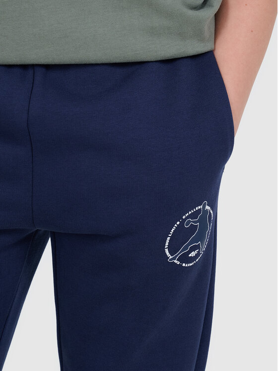 4F 4F Spodnie dresowe URBAN COMMUTER Granatowy Regular Fit