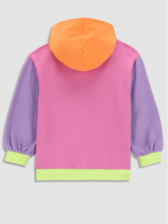 Felpa WC3132302DRK Multicolore Regular Fit