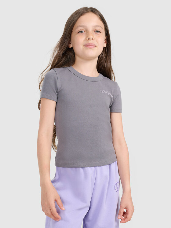 4F 4F T-Shirt BASIC+ Szary ciemny Slim Fit