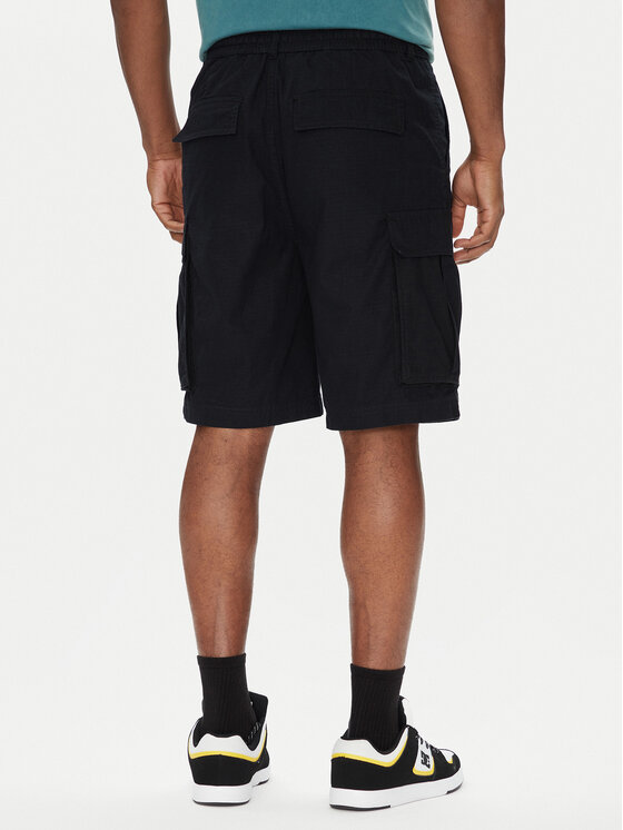 DC DC Stoffshorts Tundra ADYWS03086 Schwarz Regular Fit