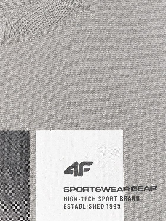 4F 4F T-Shirt APRES SKI Szary Regular Fit