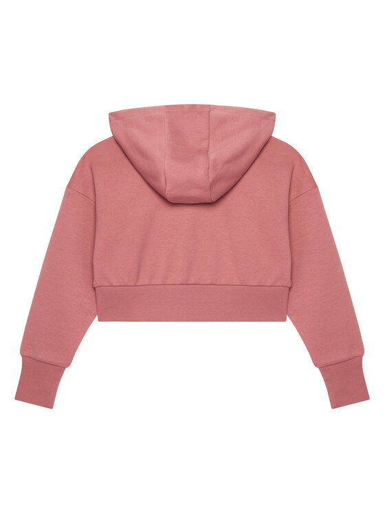 4F 4F Felpa 4FJAW23TSWSF640 Rosa Regular Fit