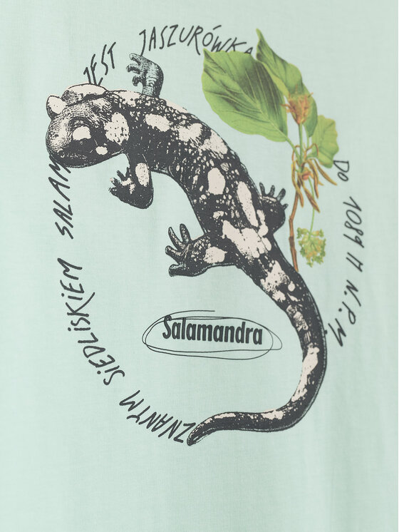4F 4F T-Shirt OVERLAND Turkusowy Regular Fit