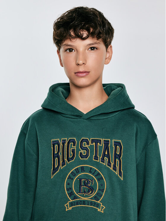 BIG STAR BIG STAR Bluza LIRON Zielony Basic Fit