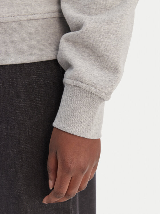 Calvin Klein Jeans Calvin Klein Jeans Sweatshirt LV047C224G Grau Regular Fit