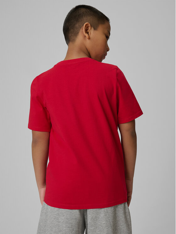 4F 4F T-Shirt BASIC+ Červená Regular Fit