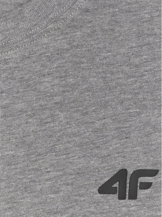4F 4F T-Shirt NOS Szary jasny Regular Fit