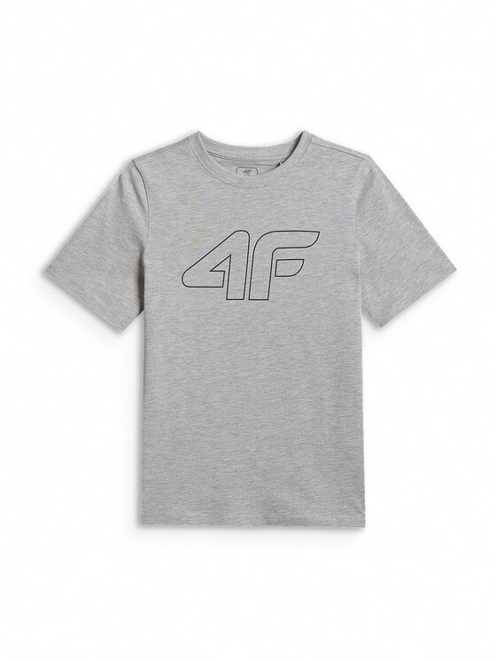 4F 4F T-Shirt BASIC+ Szary Regular Fit