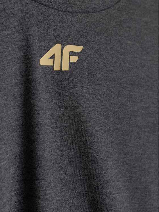4F 4F Koszulka techniczna GOLDEN WARRIOR Szary ciemny Regular Fit