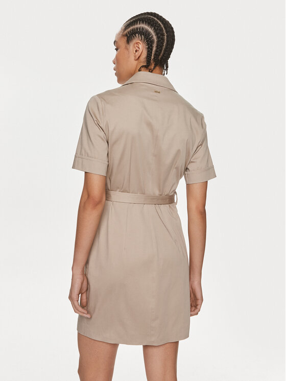 Fracomina Fracomina Kleid für den Alltag FS24SD1017W47201 Beige Regular Fit