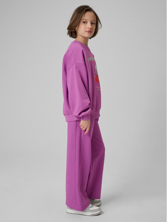 4F 4F Pantaloni da tuta 4FJRSS26TTROF1918-51S Viola Regular Fit
