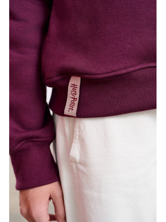 NAOKO NAOKO Bluza Riddiculus Bordowy Reglan Fit