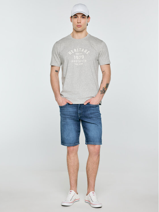 BIG STAR BIG STAR T-Shirt SERTER Szary Basic Fit