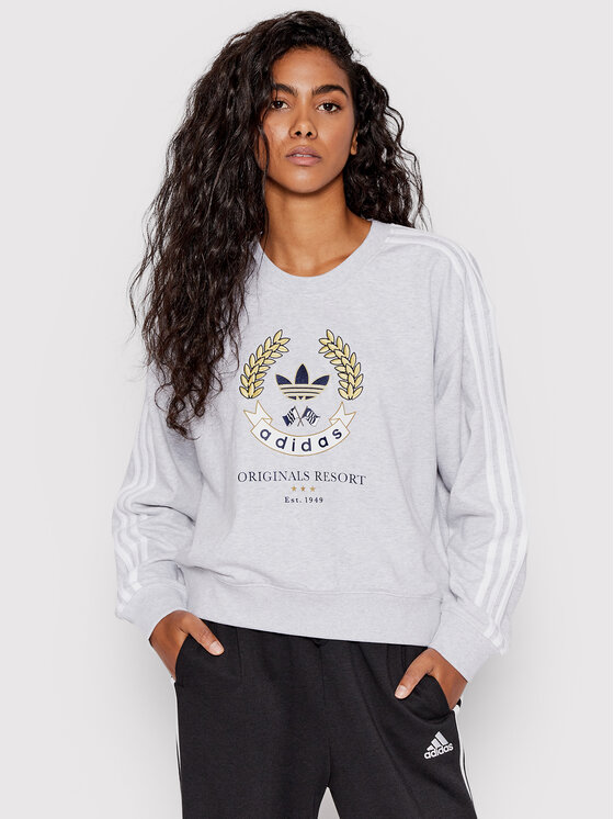 Adidas Majica Dugih Rukava Graphic HL6557 Siva Loose Fit