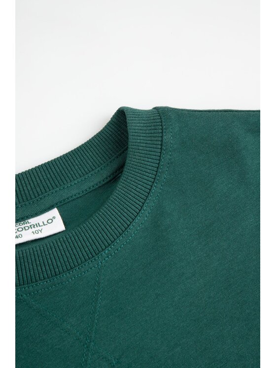 Coccodrillo Coccodrillo S dlhými rukávmi ZC6143103ABJ-022 Farebná Regular Fit