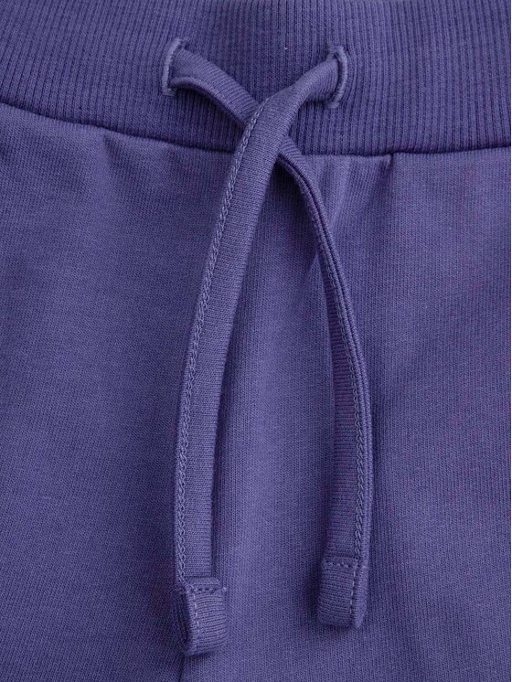 Coccodrillo Coccodrillo Pantaloni scurți sport WC5120401VGC Violet Regular Fit
