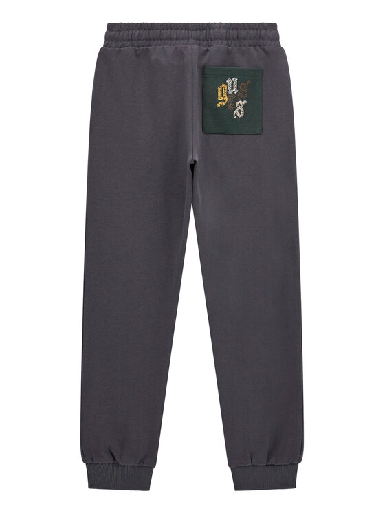 Guess Guess Treniņtērps L5BG00 KCCH0 Pelēks Regular Fit