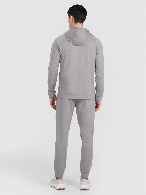 4F 4F Spodnie dresowe MULTI ACTIVE Szary Regular Fit